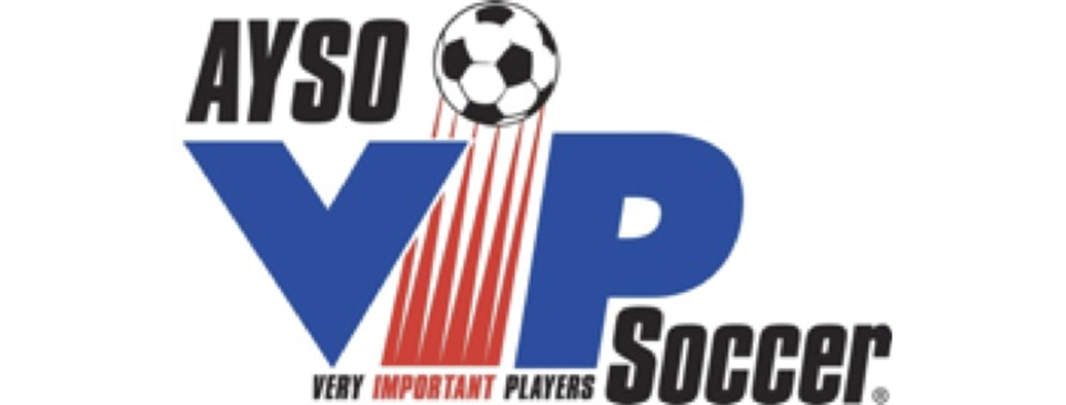 VIP SOCCER - Registration